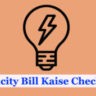 Electricity bill check and pay online